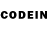 COCAIN Columbia Neslihan Ozkan